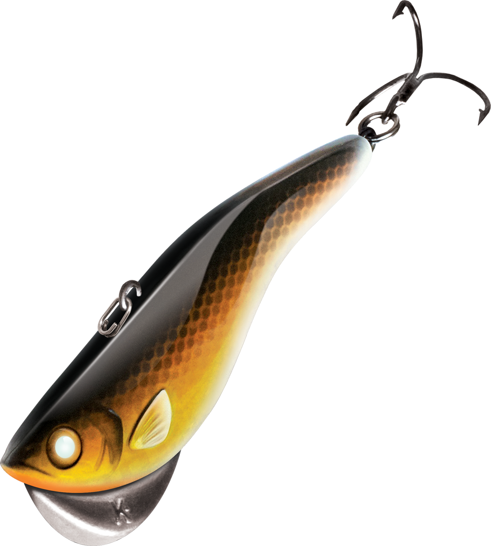 The World's Smartest Lures